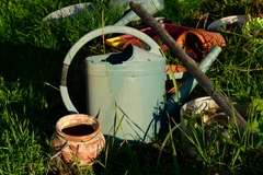 Auto-entrepreneur : se lancer dans le jardinage et petit bricolage