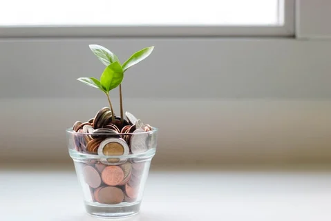 Aide financement projet : tout savoir sur vos possibilités