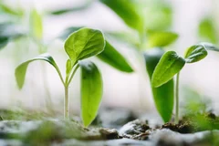 Comment développer son entreprise : le guide ultime