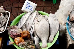 Comment ouvrir une poissonnerie : le point en 2025