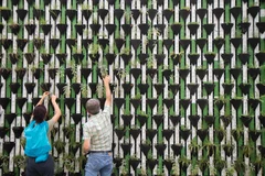 Comment devenir membre d’une association ?