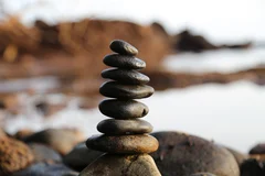 Surendettement entreprise : procédures et solutions