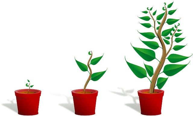 Image fiches-pratiques/capital-social/augmentation-capital/