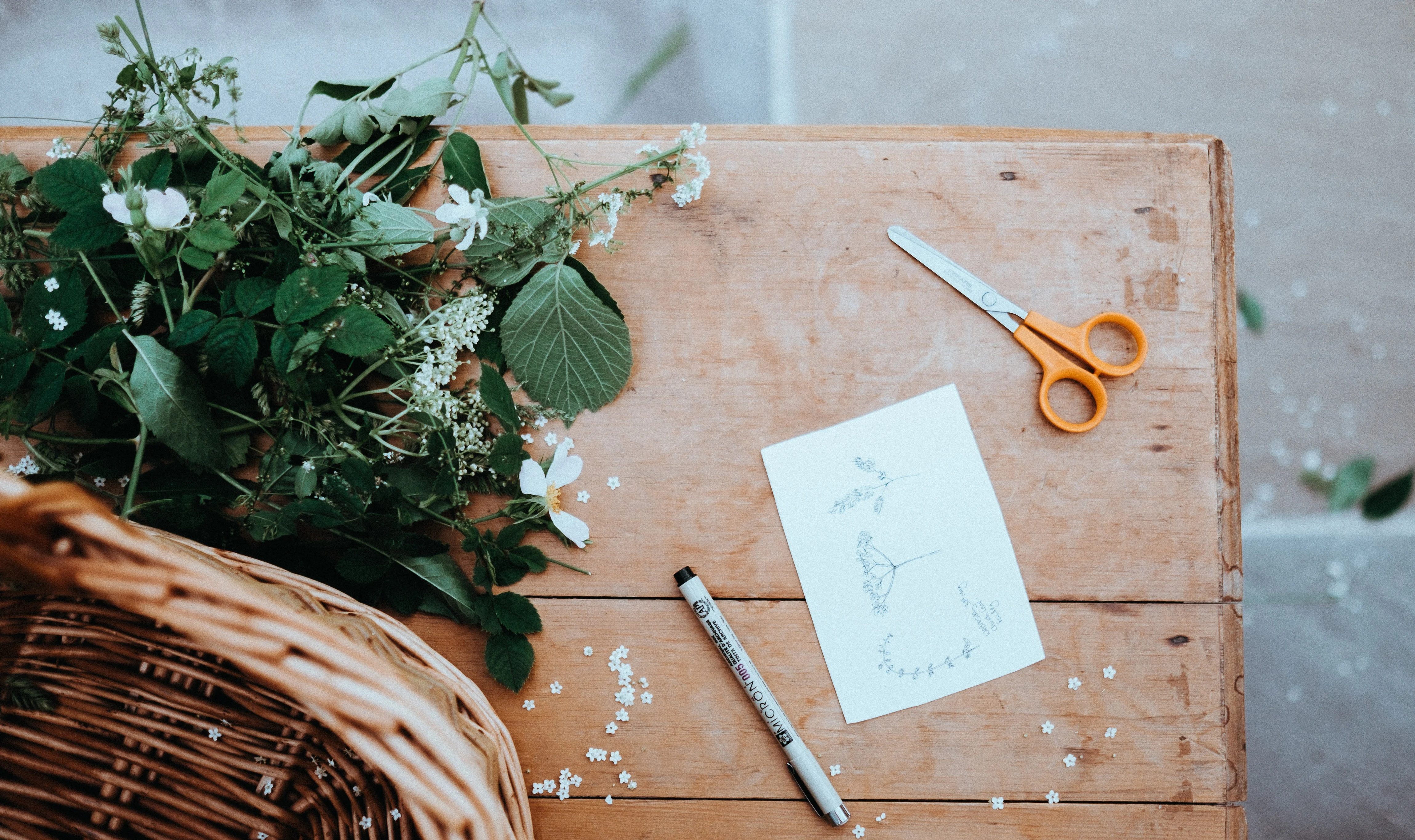 Image fiches-pratiques/commerce/devenir-fleuriste/