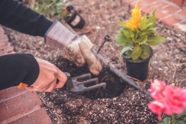 Image fiches-pratiques/services-a-la-personne/devenir-jardinier/
