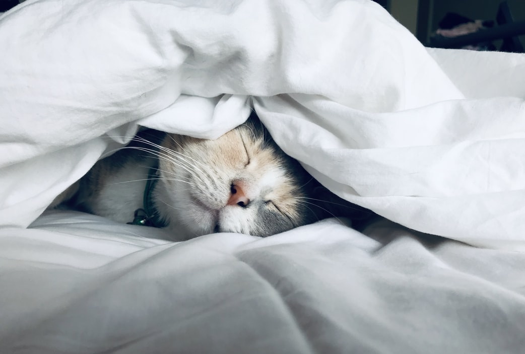 Image fiches-pratiques/mise-en-sommeil/mise-en-sommeil-association/